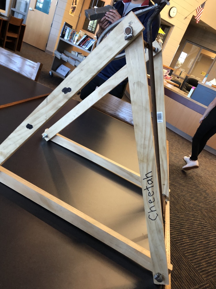 Winning Catapult 